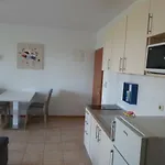 Golic Apartamento
