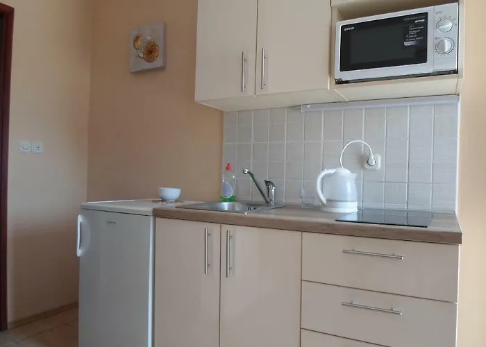 Golic Biograd Na Moru